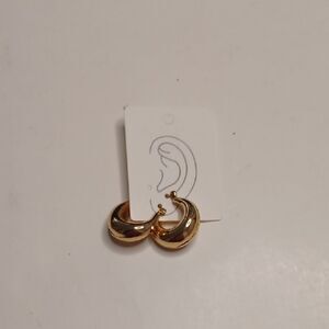 Elegant Gold Hoop Earrings